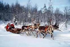 Ook vinden de rendieren het erg prettig in Lapland. Het is daar erg koud en daar houden zij wel van. Noah en CrÁstal: Hou oud ben je?