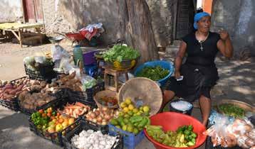 kaarten en beschrijving van de wandeltochten Porto Novo Mindelo Sao Pedro Baia das gatas Calhau TIPS - Strandverblijf of rondreis op andere eilanden : Fogo, Santiago, Sal, Raadpleeg ons via uw