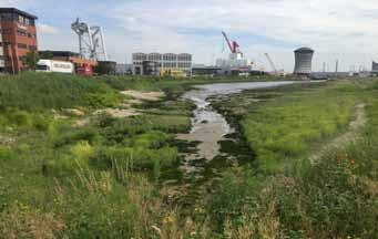 De dijk vormt daarnaast ook een belangrijke recreatieve en ecologische verbinding De Maasboulevard is een bijzondere plek aan de rivier, goed bereikbaar met de auto, goed aangesloten op het stedelijk