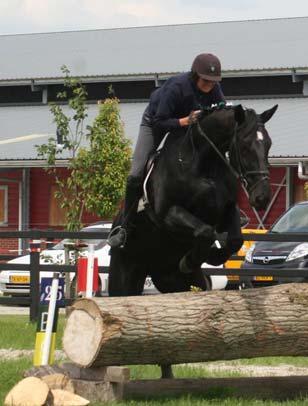 Het Groninger paard: type fokkerij, bloedlijnen fokkerij of instandhouding van een ras Hinke Fiona Cnossen (SZH) Paarden zijn eeuwenlang onmisbaar geweest bij het transport, bij oorlogen en in de