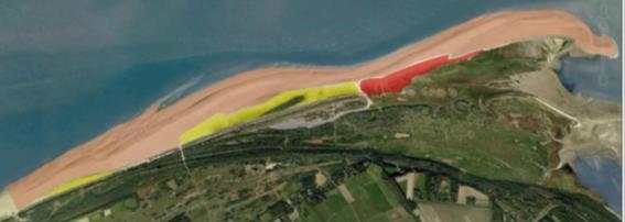 Figuur 26 Terreingebruik strandplevier; rood: belangrijk broedgebied, geel: voorheen broedgebied, of aanwezigheid lagere dichtheden, roze: foerageergebied (Bron ontwerpbeheerplan Duinen Goeree &