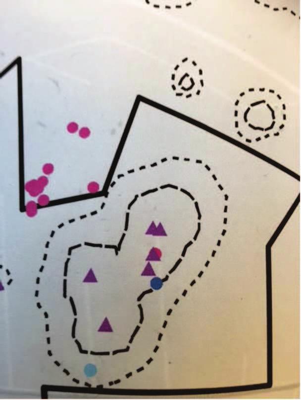 Verbeeldende uitleg Stippenkaart Paarse driehoek: een agrarisch bedrijf met vee (ogv onderliggende milieuvergunning) Donkerblauwe stip: woning welke overbelast is & geur wordt als overlast beleefd