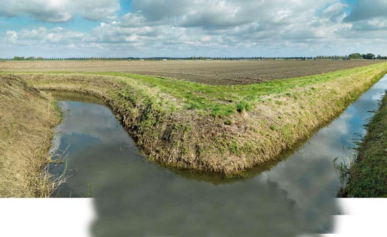 Waterschap breidt Akkerrandenregeling uit Aanmelden kan tot en met 15 januari 2012 Schoner water in sloten en meer biodiversiteit. Waterschap Rivierenland werkt hier aan.