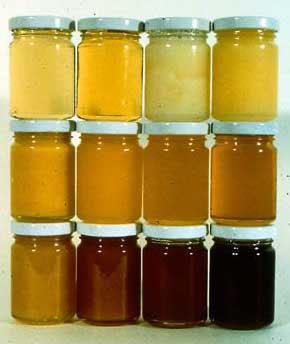 opdracht 1 Hoe smaakt honing? Hier staan een paar potten en flessen honing. Kijk eens op het etiket.