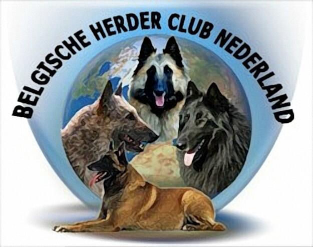 Organiseert in samenwerking met: International Belgians Agility Cup Bergerdensestraat 25A