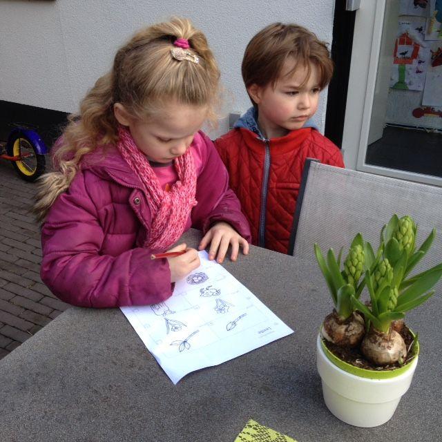 Ook zit ik nu in Amsterdam op school, namelijk op de ALO (Academie Lichamelijke Opvoeding).