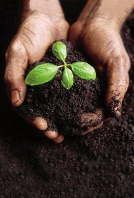 Juni 2017 PINKSTEREN 1 2 3 4 PINKSTER MAANDAG 5 6 7 8 9 10 11 COMPOST TE KOOP MET VLACO- KWALITEITSLABEL Alle Vlaco-compost is gegarandeerd volledig uitgerijpt, zonder