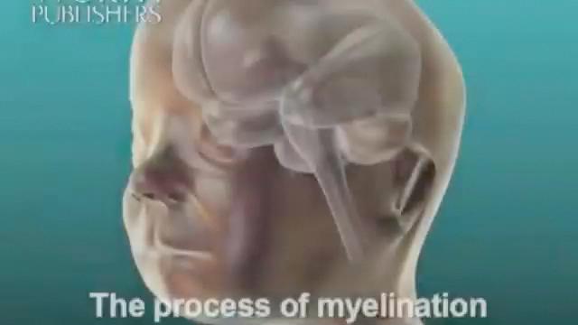 INLEIDING Myelinisatie (voor de