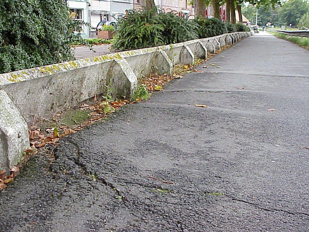 Indien een fietspad aangelegd wordt in de buurt van bomen of langsheen een bomenrij, dan bestaat het gevaar dat de boomwortels de verharding opdrukken.