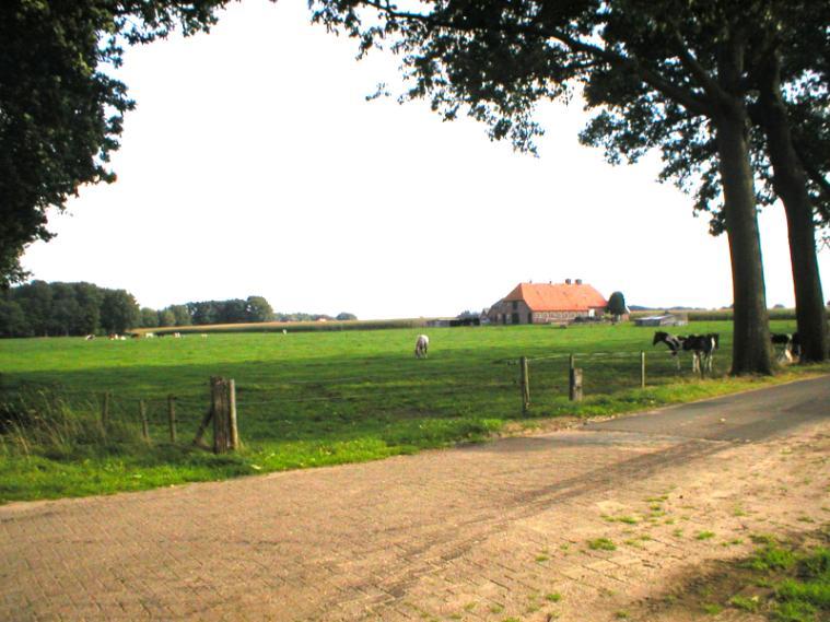 dekzandruggenlandschap (Averlo-Frieswijk) Raamontsluiting De raamontsluiting van het buitengebied van Deventer-Oost