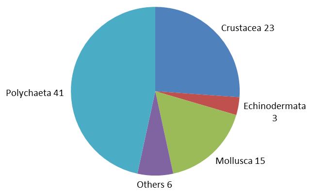 130 Figuur 7.1 Verdeling van aangetroffen benthos soorten (n=88) over verschillende groepen in offshore windpark Egmond aan Zee in 2011 (uit Bergman et al., 2012).