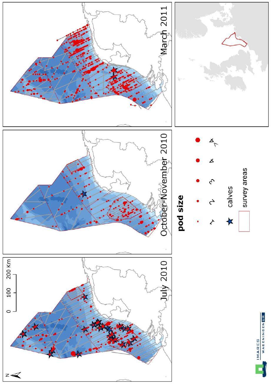 141 Bruinvissen in plangebied Het plangebied ligt in het gebied waar in maart, juli en oktober relatief lage dichtheden voorkomen.