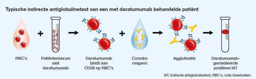 Behandeling met daratumumab leidt tot een positieve indirecte antiglobulinetest. Dit komt voor tot 6 maanden na afloop van de behandeling.