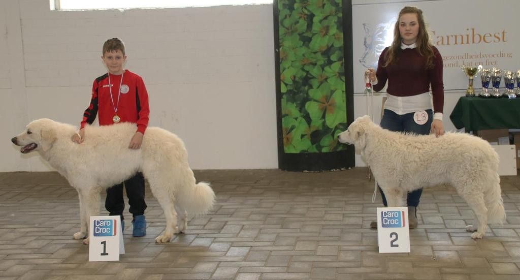 Fokkerijklasse (31) Kennel Majna-Menti Mákvirág: Majna-Menti Mákvirág Balaton (24) Majna-Menti Mákvirág Coco Chanel (11) Majna-Menti Mákvirág Boncza Berta Bimbi (23) Viharsarki Betyárüzö Duna (30) 1e