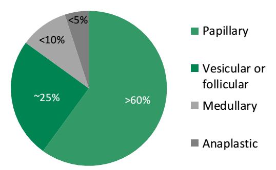 Gedifferentieerd schildkliercarcinoom (DTC) = papillair + folliculair Pijnloze zwelling Noduli (~ 5% maligne) Goede prognose (10