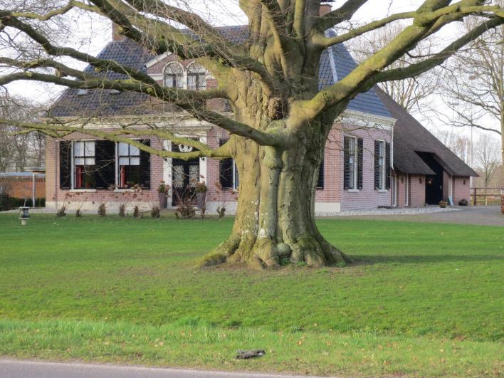 De Wijk: Reest & Landgoederen 11 km 1 Historie De Wijk Geschiedenis van De Wijk De eerste bewoning rond het riviertje de Reest dateert uit omstreeks 1200.