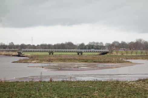 een landelijk park een