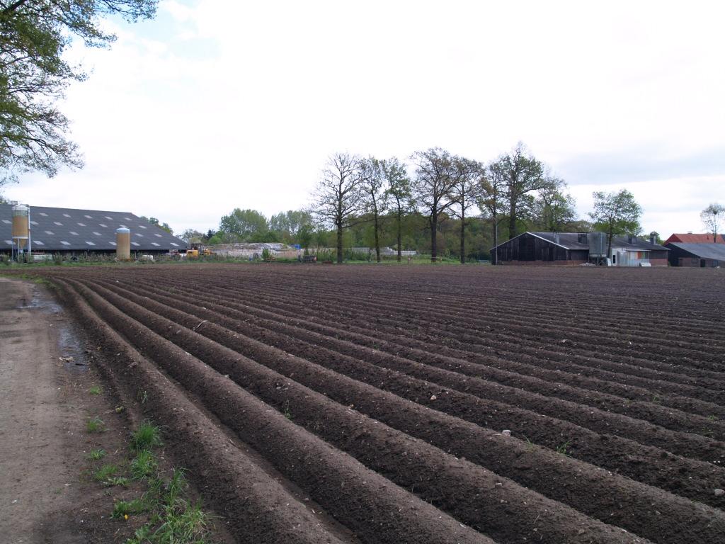 Op de voorgrond is de ondiepe greppel zichtbaar die reeds dienst doet als