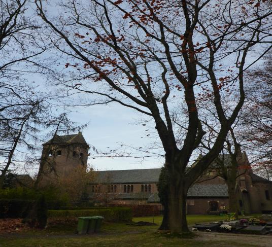 Boomgegevens De beuk in de pastorietuin heeft op basis van zijn stamomvang een monumentaal karakter.