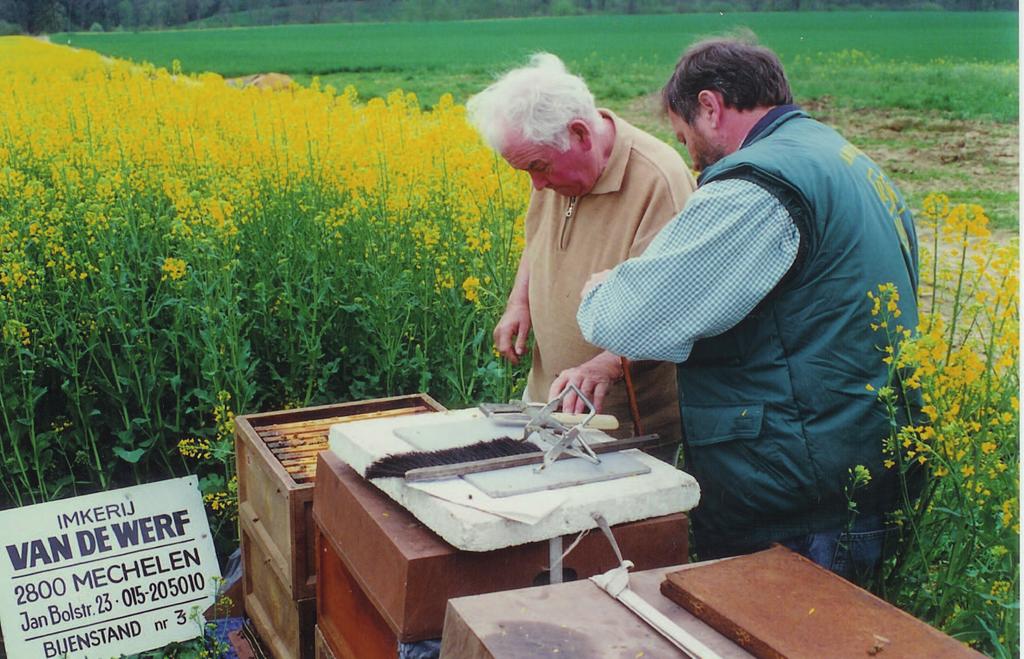 Grondslagen en werkwijze... Elke methode om aan rassenteelt te doen, begint met het uitlezen en het kiezen van waardevol teeltmateriaal.