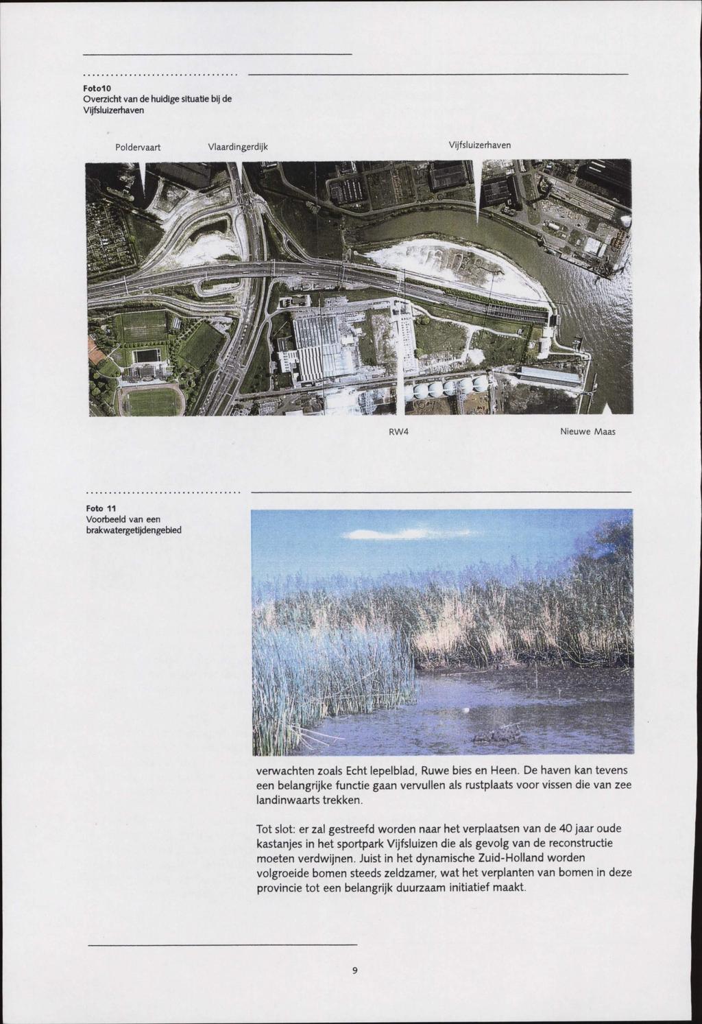 FotolO Overzicht van de huidige situatie bij de Vijfsluizerhaven Poldervaart Vlaardingerdijk Vijfsluizerhaven RW4 Nieuwe Maas Foto 11 Voorbeeld van een brakwatergetijdengebied verwachten zoals Echt