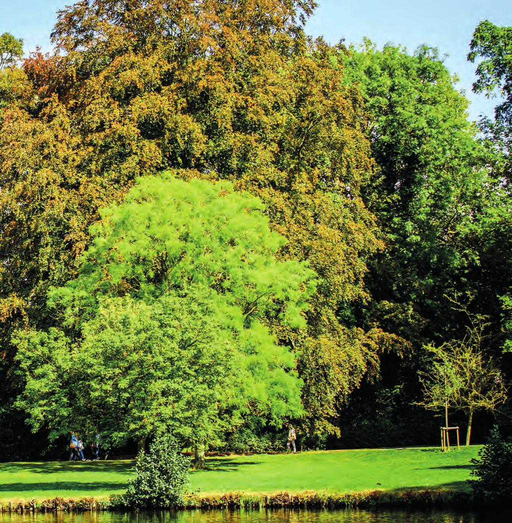 Luc Kiekens (1910-1991) Het ging om ruwweg 1 200 bomen in 125 verschillende soorten.