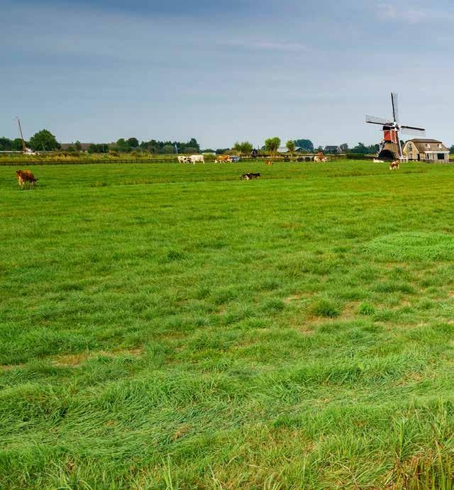 Randstad 380 kv Noording krijgt vorm Op stoom Het afgelopen half jaar is weer veel werk verzet. Randstad 380 kv Noordring krijgt steeds meer vorm.