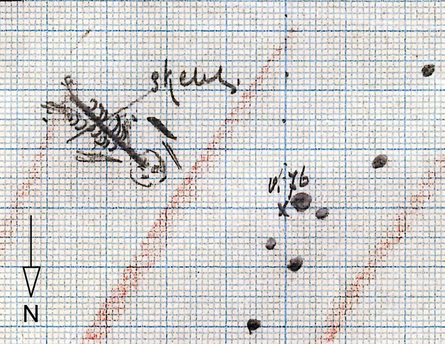 Menselijke resten in Ezinge Fig. 8 Profieltekening met een ingetekend skelet, volgens het vondstboekje vondstnummer 803.