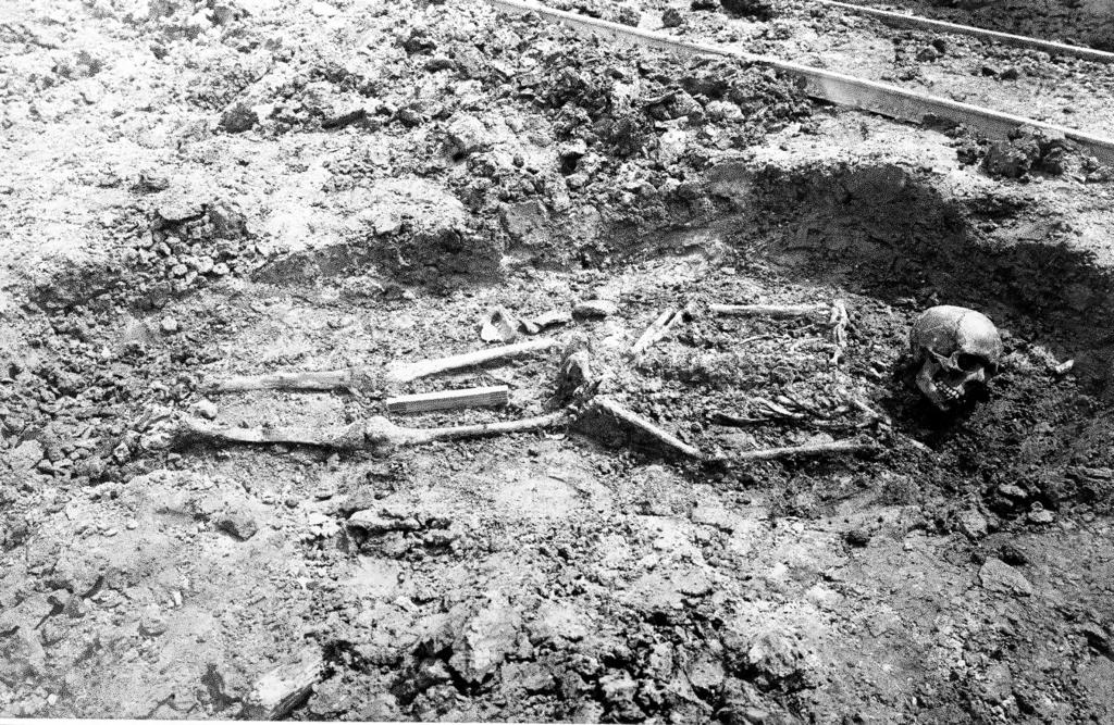 Nieuwhof Fig. 12 Een op de rug liggend skelet uit de late ijzertijd (1926-170), gevonden in de kwelder aan de voet van een profiel in een van de eerste jaren van het onderzoek in Ezinge.