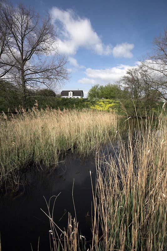 Grote modderkruiper De grote modderkruiper is een zeer lastig te inventariseren soort door zijn verborgen levenswijze en de eigenschap bij verstoring diep in de modder weg te kruipen.