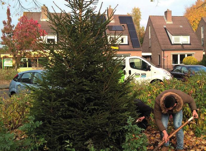 5: Uitvoering programma stadsbeheer Iedere maandag komt een docent van Terranext