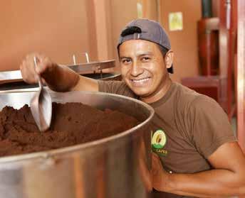 Coöperatieleden van Nicafrance plukken koffiebessen op plantage La Cumplida in Matagalpa, Nicaragua.