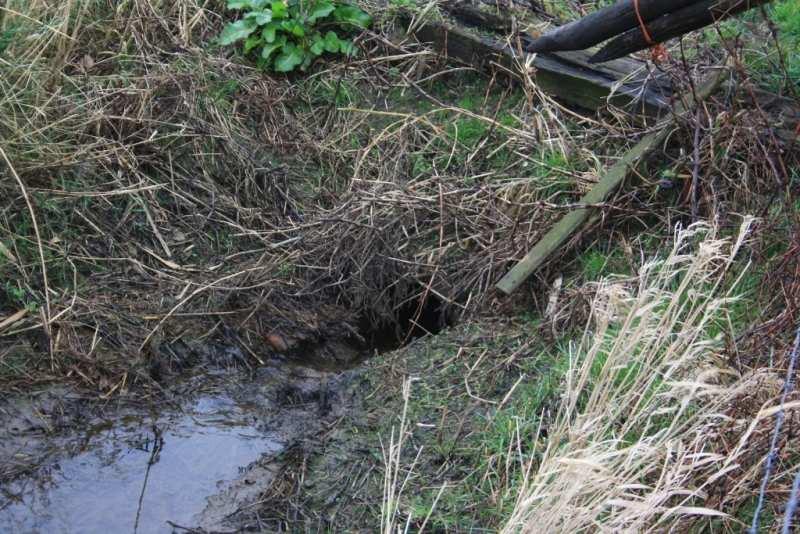 Door ondermeer blad, bagger of takken kan een duiker langzaam verstoppen.