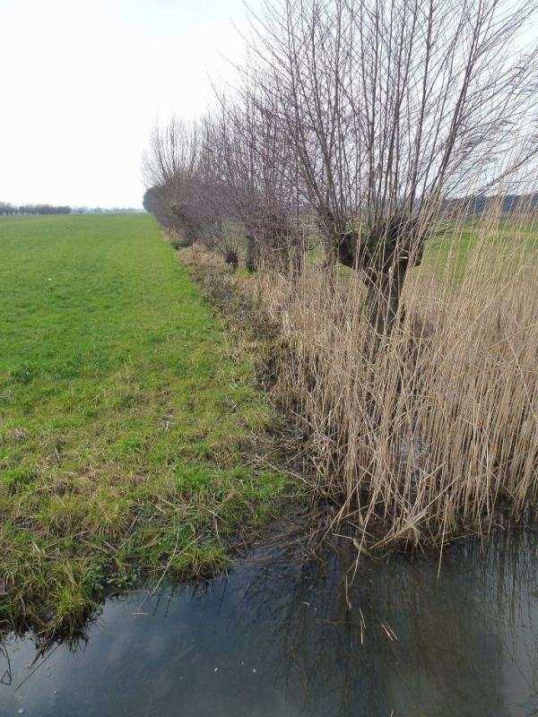 Een smalle sloot (<1,5 m op de waterlijn) vrij van vegetatie maken en weer op voldoende diepte maken.