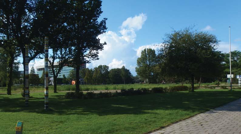 Desondanks heeft het gebied ontegenzeglijk potentie: de ligging in nabijheid van de entreeroutes naar Haarlem en Schalkwijk en de landschappelijke ligging aan het groen en water.