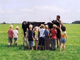 WLD als gebiedscollectief (2) breed scala aan plattelandsdiensten ontwikkeld, waaronder: diensten voor de private markt: plattelandstoerisme, boerderijeducatie,