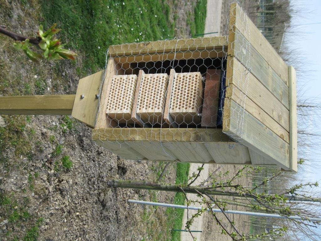Voorbereiding Twee weken voor bloei aanbrengen nestgelegenheden Diverse nestblokken (houtsoort, opstelling, diameter) Twee weken voor de bloei uitleggen van cocons