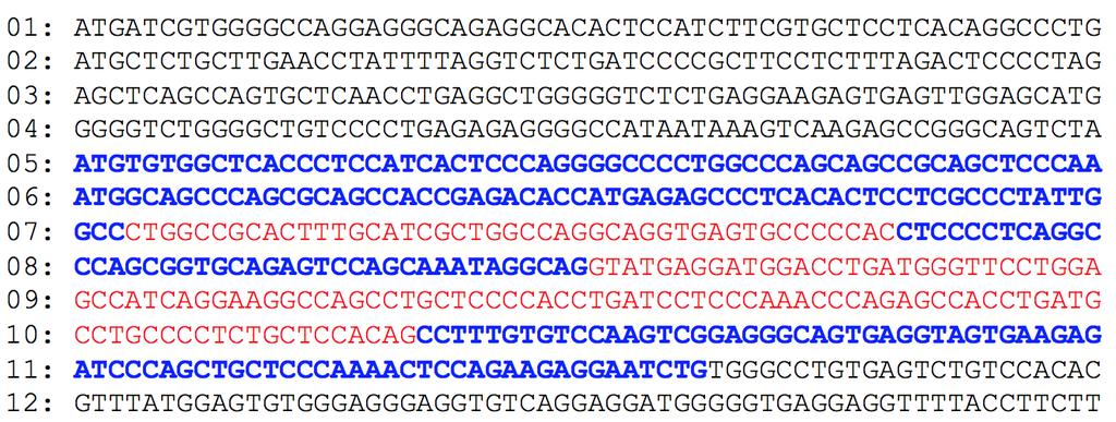 2 0 1 4-2 0 1 5 B l o k t o e t s 1. 1 12 43. Gegeven is de sequentie van gen BGLAP3 coderend voor het bot eiwit osteocalcine. De exonen zijn aangegeven in blauw en de intronen in rood.