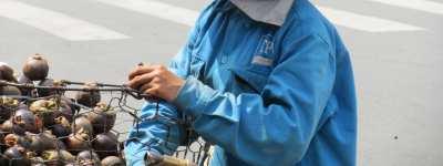 Geniet van zon, zee en strand onder een van de vele palmbomen aan dit strand. Maak een frisse duik in het helderblauwe zeewater.