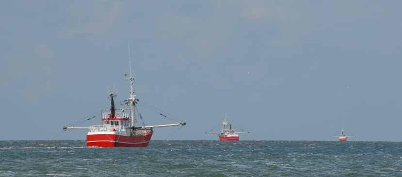 ICES geeft vangstadviezen voor meer dan 200 visbestanden.