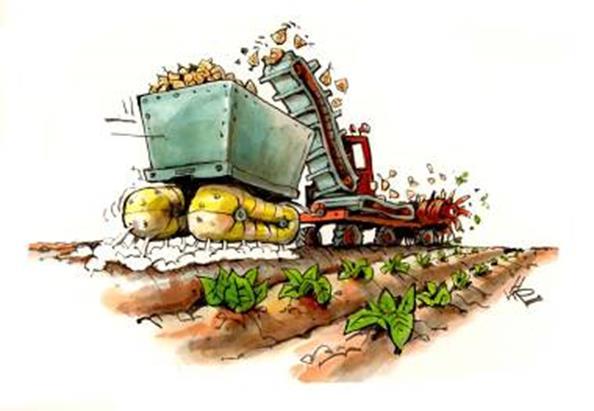 Uitdagingen NKG + rijpaden Verdere vermindering bodemdruk, oogsten vanaf rijdpaden, bodemvriendelijke oogst!
