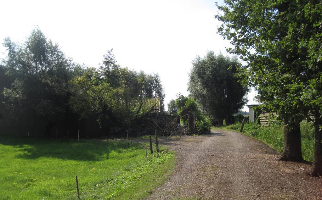 De aanwezige verharding bestaat uit halfverharding van puin. Waardevol is de beplanting van eiken aan de Eekterweg en aan de zuidwestzijde van het erf.