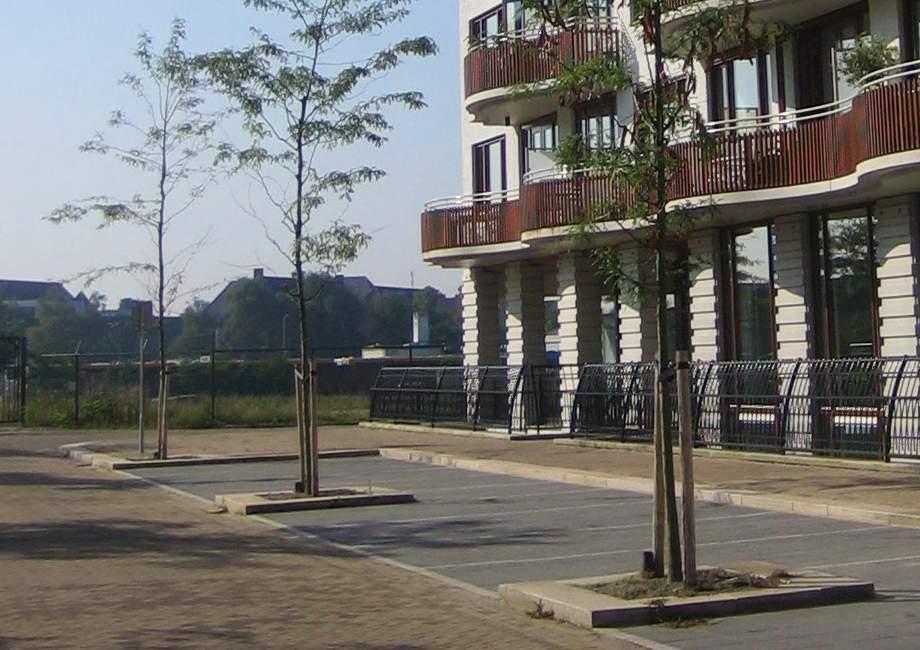 De profielopbouw van de Nieuwe Doorsteek en de Nachtegaallaan komen overeen. Deze straten zijn breed genoeg om langsparkeerplaatsen te maken met bomen tussen de parkeerplaatsen.
