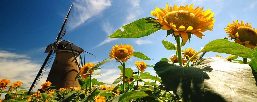 We wensen u een fijne zomertijd toe! Groeten, Mirjam de Haas en Renate Tuijten KENNIS MAKEN MET. ELS TERRUWE In deze rubriek laten we u elke nieuwsbrief kennis maken met een medewerker van Pro-Cura.