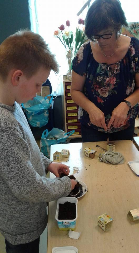 Groep 5 en 6 Dinsdagmiddag hebben we samen met juf Janny gewerkt aan onze moestuintjes.