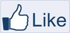 Facebook Zoals jullie misschien al weten heeft LTC Hofgeest ook 2 pagina s op Facebook.
