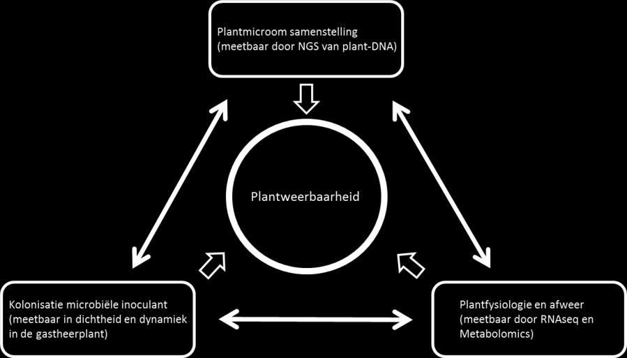 PPS 1605 041: Versterking van plant weerbaarheid tegen ziekten en plagen door aanpassing van het plant microbioom Doel: Opstellen van een integratief model van interacties tussen microbioom en