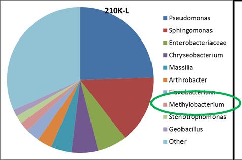 suppressiveness High disease incidence de ef f cd bc a ab Low disease incidence Kondor Same soil, same cultivar, same inoculum