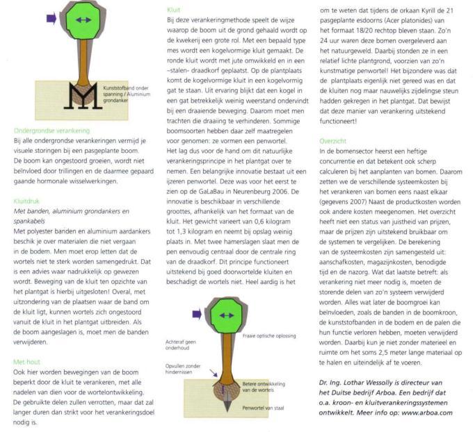 4. Verankering van pas geplante grote bomen 5. Nazorg Controle van de verankering - zit de kluit nog stevig vast? - zijn boompalen intact en effectief? - zijn kabels intact en op spanning?