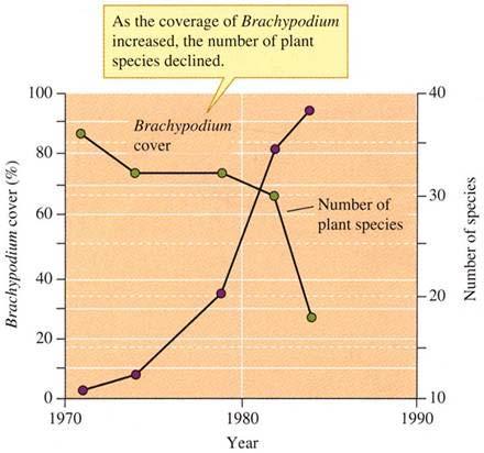 Vermestende effecten Gewijzigde competitieverhoudingen (bvb grassen kruiden) Bobbink & Willems (1987) Increasing